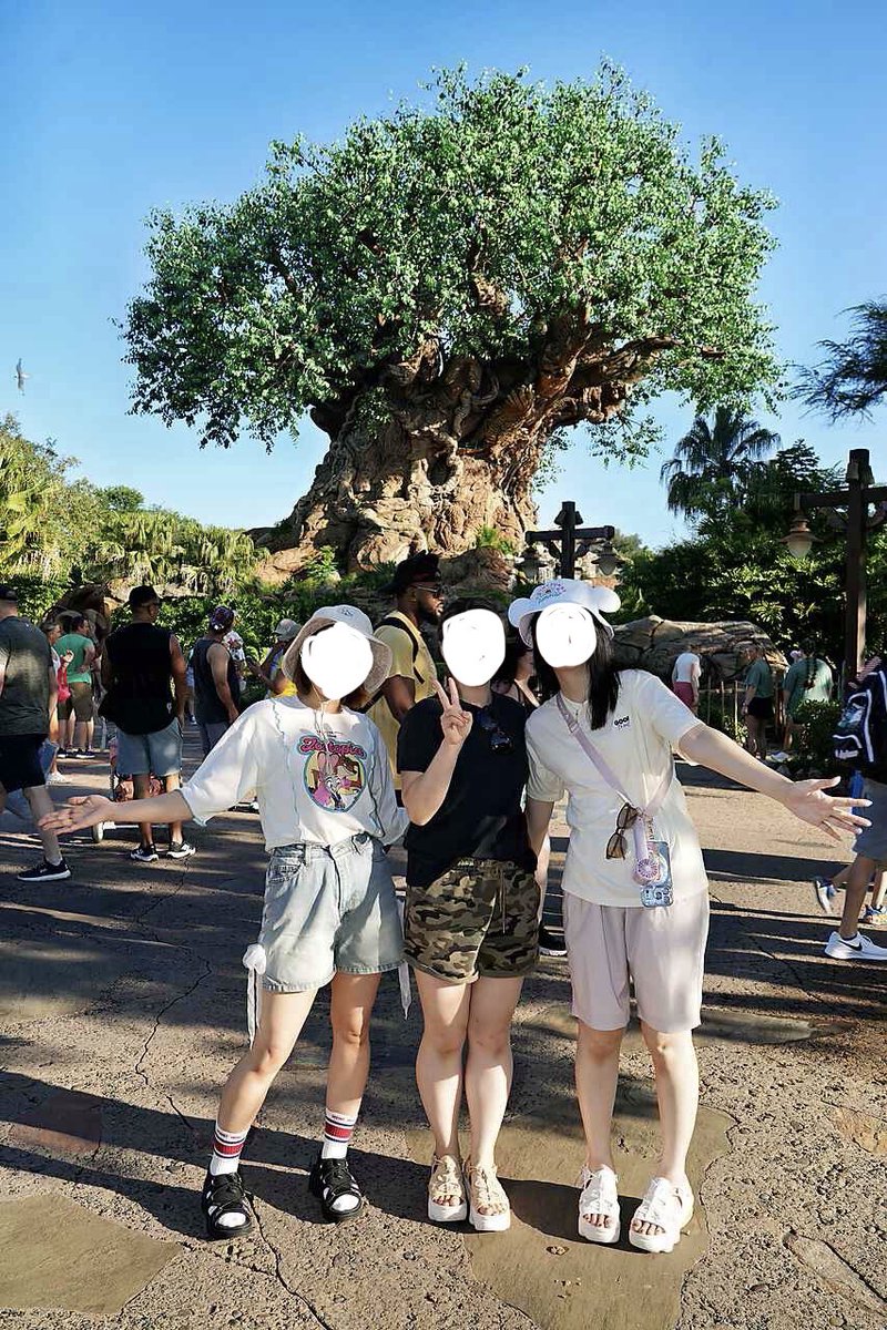 amkossm's tweet photo. WDWいまーす🤗🇺🇸
規模が全て全て大きすぎる！さすが山手線の内側ぐらいあると言われているだけある…何もかもが大きい！！2日目だけど毎日感動の連続…本当最高😭
あと、たぬきちみつけた笑 https://t.co/r211uJvi31