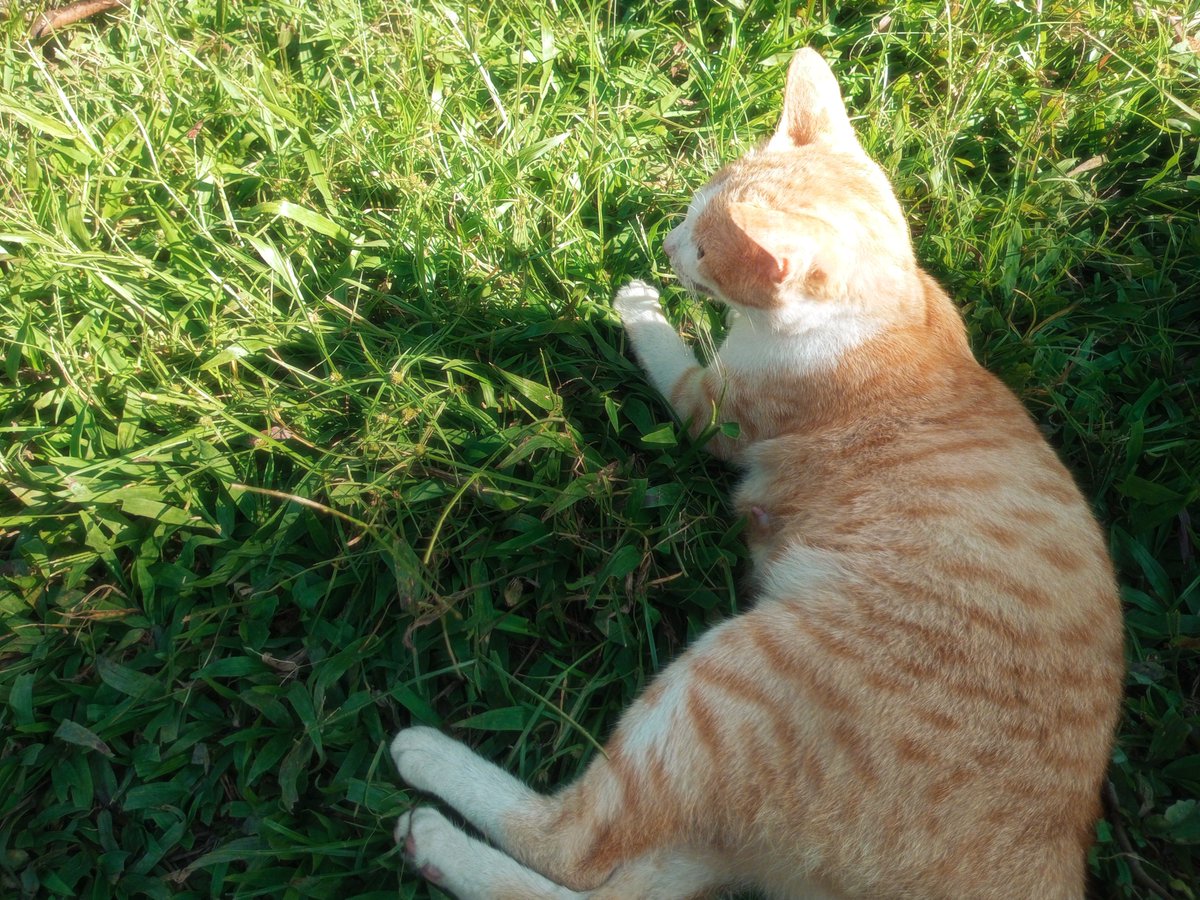 maxxiestarr's tweet photo. https://t.co/UcikvUPlT1