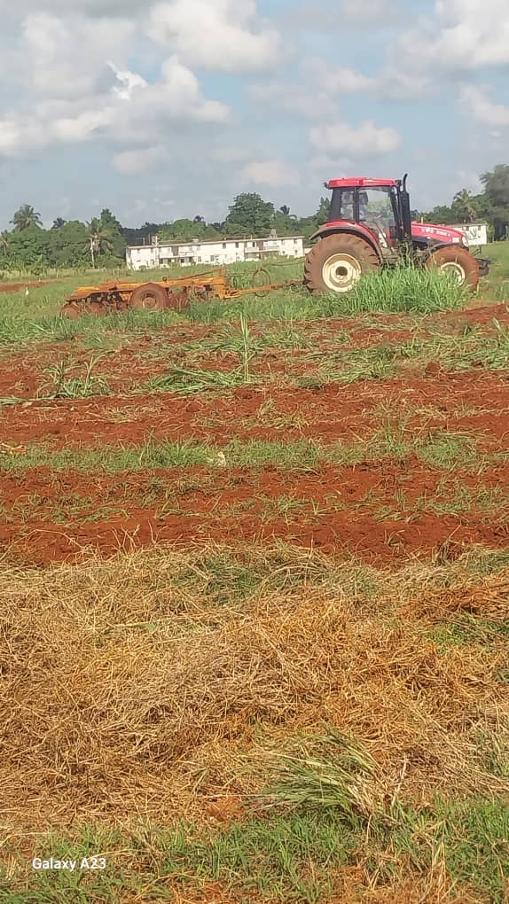 RobertoGlezMu's tweet photo. Con cerco energético, con el Bloqueo  q impone  EEUU, nuestros productores agropecuarios, Cooperativas y Empresas  preparan tierras, siembran cultivan, cosechan y comercializan para  alimentar  el pueblo, con nuestros esfuerzos venceremos el bloqueo.
#Mayabeque
#CubaProduce https://t.co/dbBe7sC0Y5