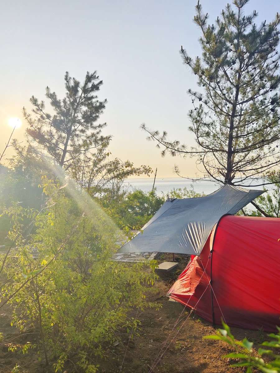 khoeru_tamimi's tweet photo. Woke up to pine scent, crisp morning air, and the distant chirp of birds—this perfect camping trip reset my whole week. https://t.co/SVicfODfU5