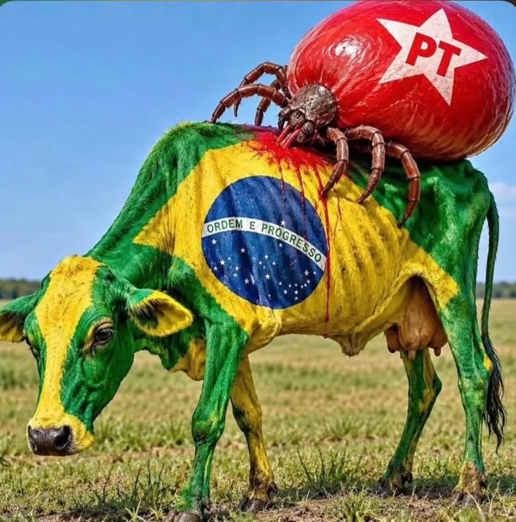 roxmo's tweet photo. Vamos curar essa vaca. https://t.co/gjOk4RbNIy
