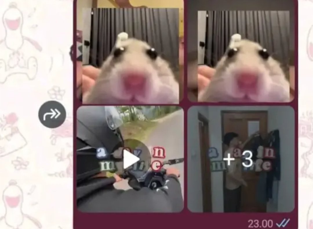 zhakqf's tweet photo. take gasi vid nya, cma bayar 20k udh bisa dpt pt 1-7? klo mau full dur ckp bayar 25k udh full pt? ihh sayang bngt si kalian klo ga take vid si adml ini, kuyy lah di take mumpung aku msh adain. SBLM DI HPUS! AYOO DM https://t.co/876Dw1Pmwl