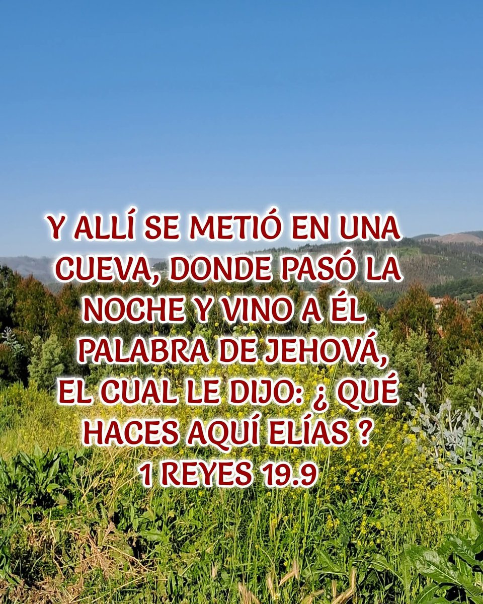 LA2DAVENIDA's tweet photo. https://t.co/OJBni1dGW5