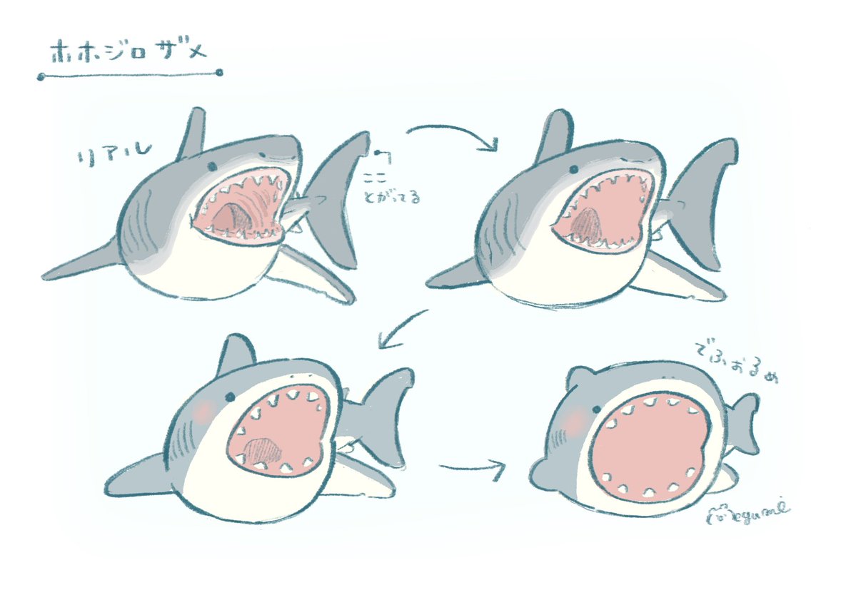 motitata's tweet photo. でふぉるめさめ🦈 https://t.co/9QExlhkqqQ