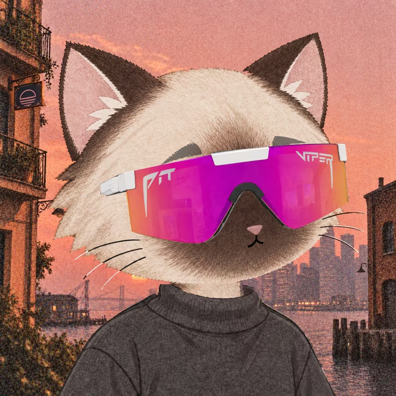 c_cloudplayer's tweet photo. As for me, I like the cats https://t.co/yz0pfhaXrK