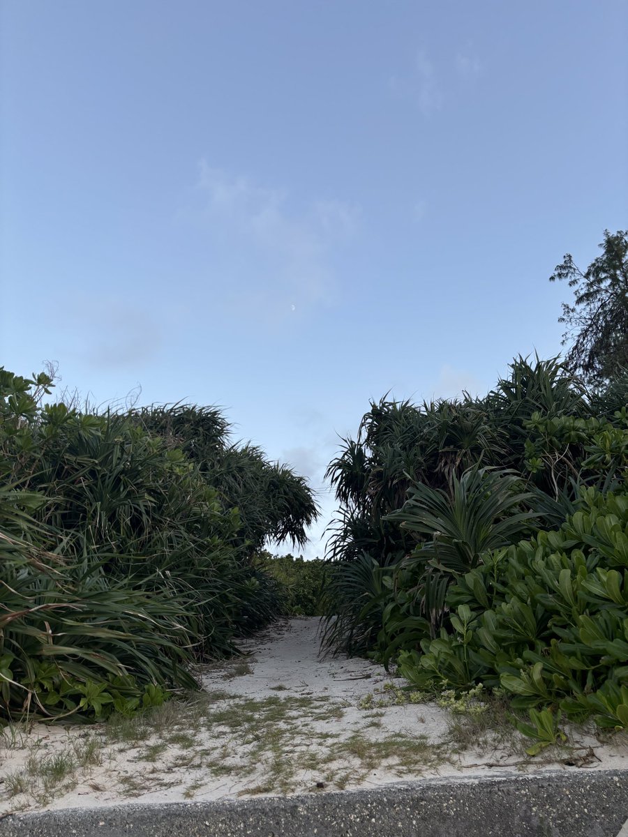 pepperonioni's tweet photo. 観光地ではないのです。ただの島、母を連れてくる旅に同行できてよかったです。 https://t.co/AT4qHDoc2R