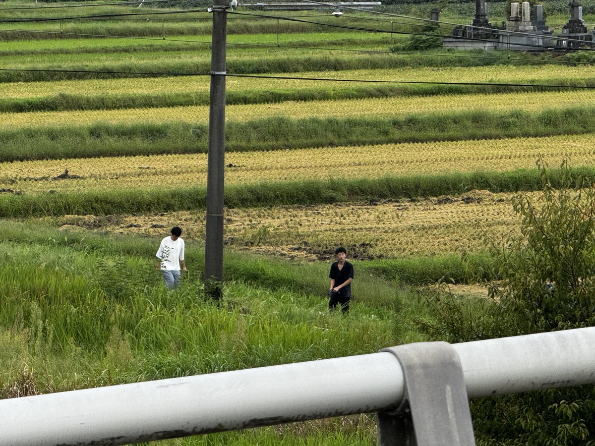 ramdra475's tweet photo. ご苦労な事で。6名程大阪ナンバーミニバンレンタカーで来てました。現地にゴミ捨ててくとかまだこんなヤツおるんやね。AP2は60形 2連で笑いましたが。ここはいい感じの草ボウボウ区間だったのですが違和感出ちゃって残念。 https://t.co/OkXZ6UVJCi
