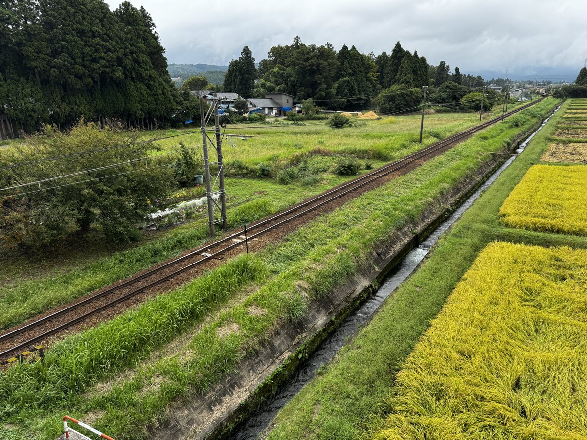 ramdra475's tweet photo. ご苦労な事で。6名程大阪ナンバーミニバンレンタカーで来てました。現地にゴミ捨ててくとかまだこんなヤツおるんやね。AP2は60形 2連で笑いましたが。ここはいい感じの草ボウボウ区間だったのですが違和感出ちゃって残念。 https://t.co/OkXZ6UVJCi