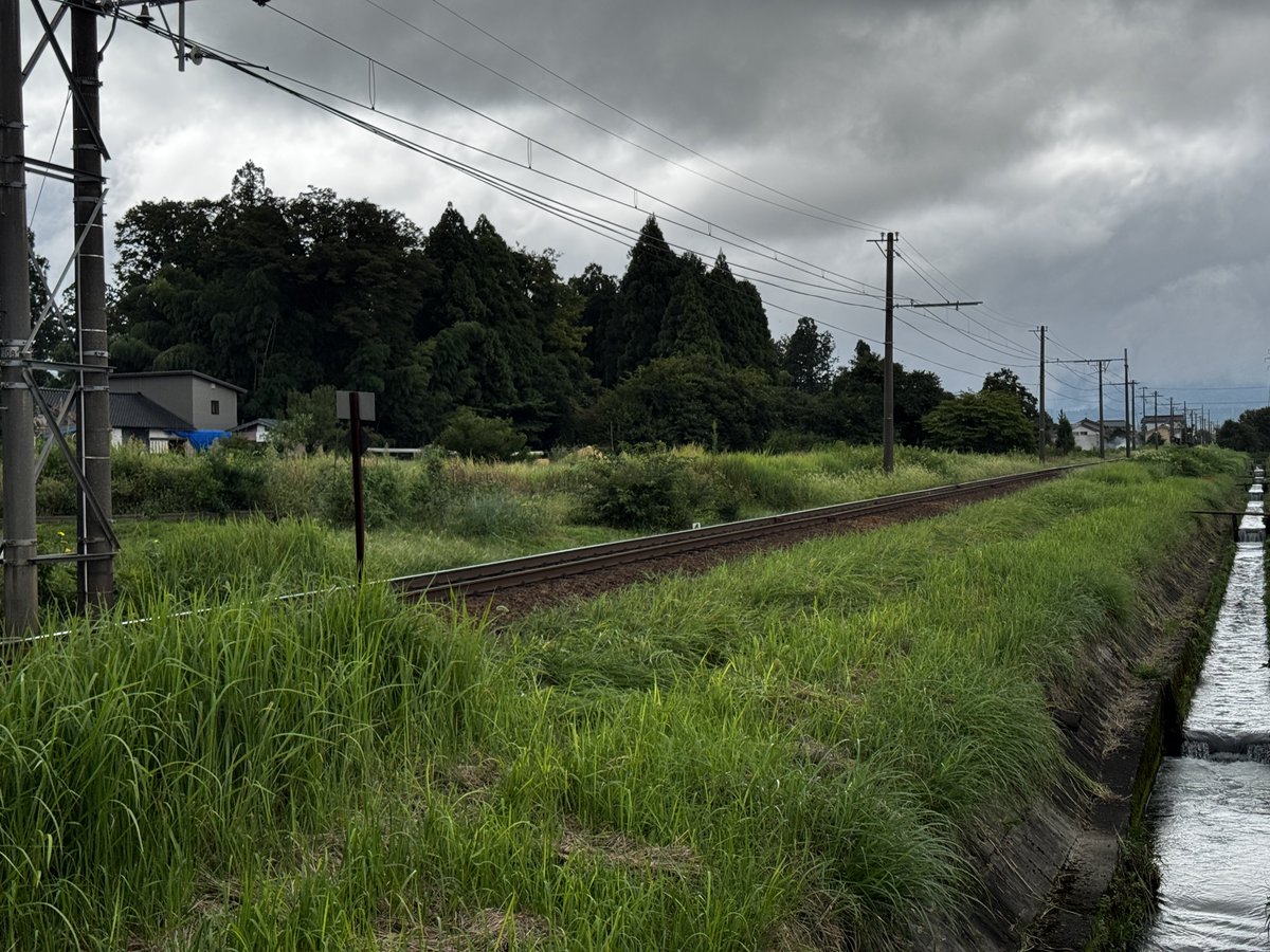 ramdra475's tweet photo. ご苦労な事で。6名程大阪ナンバーミニバンレンタカーで来てました。現地にゴミ捨ててくとかまだこんなヤツおるんやね。AP2は60形 2連で笑いましたが。ここはいい感じの草ボウボウ区間だったのですが違和感出ちゃって残念。 https://t.co/OkXZ6UVJCi