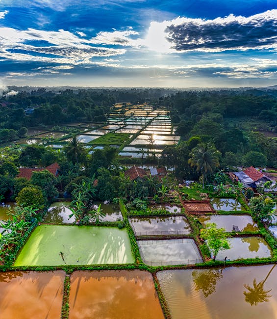 MackeacRober67j's tweet photo. James Sebastian Elijah Grace Gabriel nonstop Laughing with and vincent decandia🍵 https://t.co/mKGi9hPWoW