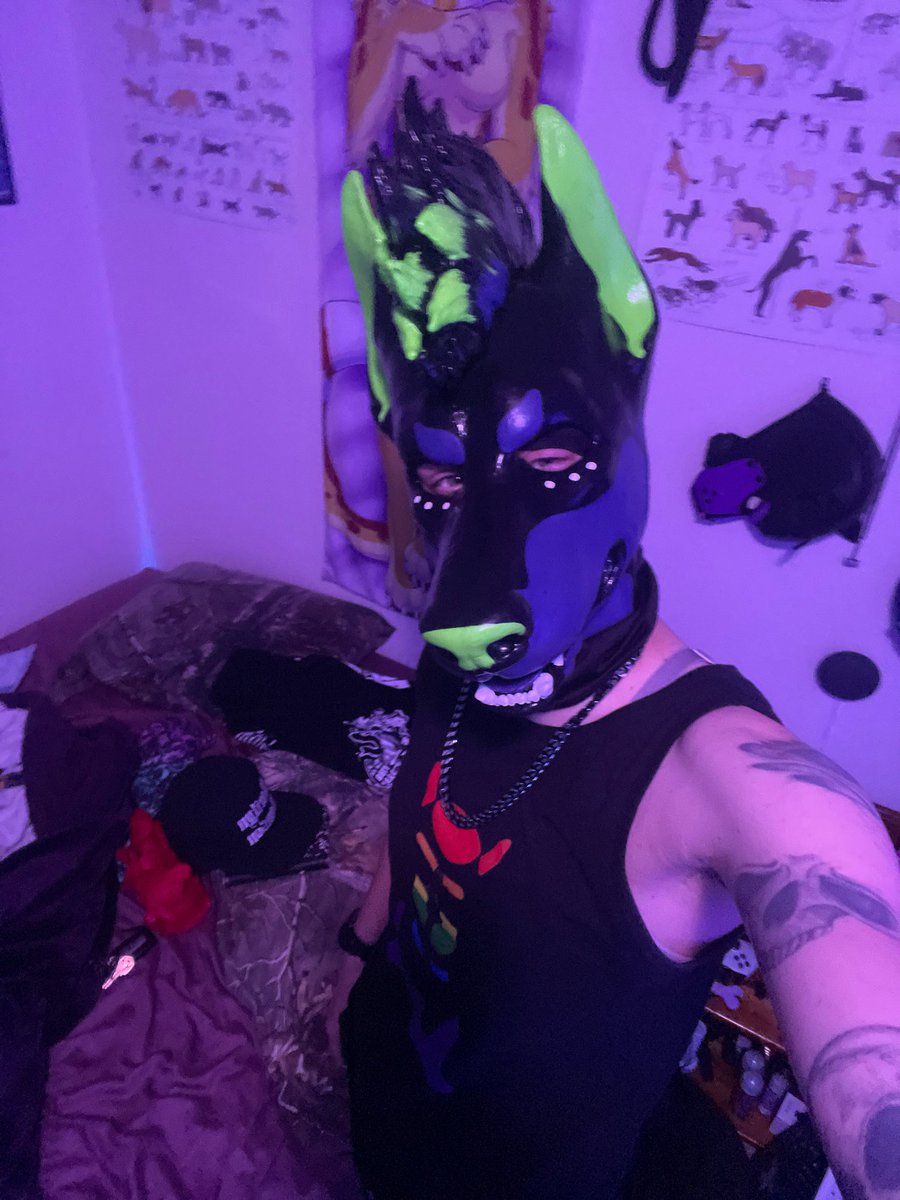 NexusAfterBark's tweet photo. My boy is finally home and fits perfectly, thank you @SnapJawForge for doing such a great job on him. I love him so much. https://t.co/wyu9Hs07HY