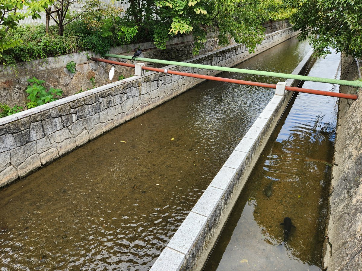 nobushigesanad2's tweet photo. おはようございます
今日もよろしくお願いします
近所を少し歩いて、公園では皆さんで座ってお話しされていて、川沿いでは走られている方がいらっしゃいました https://t.co/Y5HPy0Mmu7