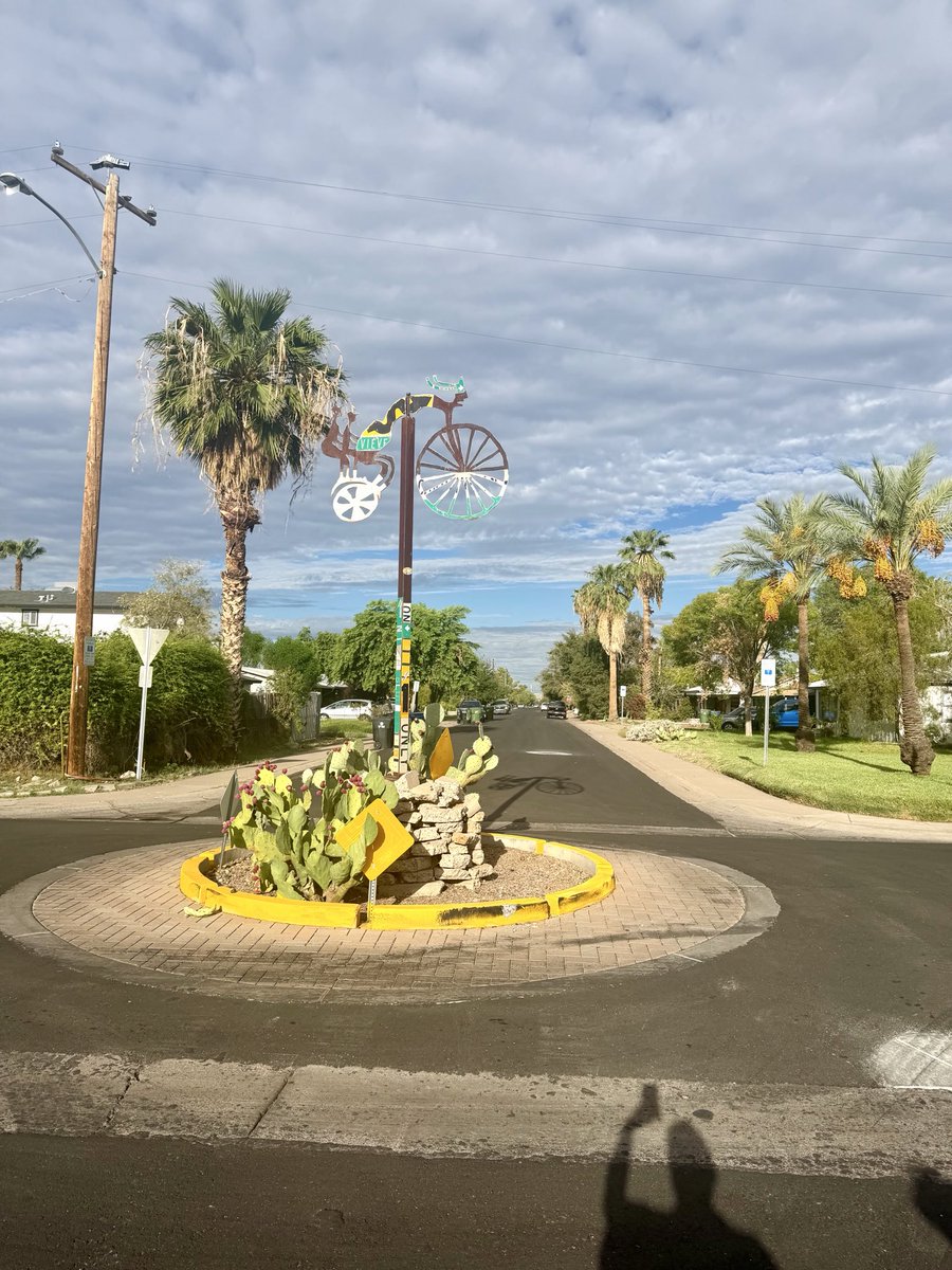 wayeric's tweet photo. One big move we have made in Tempe is taking out unneeded pavement &amp; replaced with plants, traffic calming &amp; art. These traffic circles have native Sonoran desert cacti, improve nhood streets, collect rainfall &amp; help decrease heat. https://t.co/5J5l5IOLvW