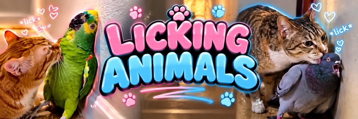 theperpcatsol's tweet photo. We bonded one of these coins but its TURNED INTO A WHOLE TREND

This trend of licking animals is going INSANLEY VIRAL with over 50m+ views just today across all vids.

LITERALLY EVERY  SCROLL ARE THESE VIDEOS

The one bonded was the worst ticker + only one animal, we should send it under "licking animals" as thats the whole trend.

40m. https://t.co/97aWKU3UiE

30m https://t.co/7TeG9AfxQt

2m - https://t.co/06FHz7rX2G