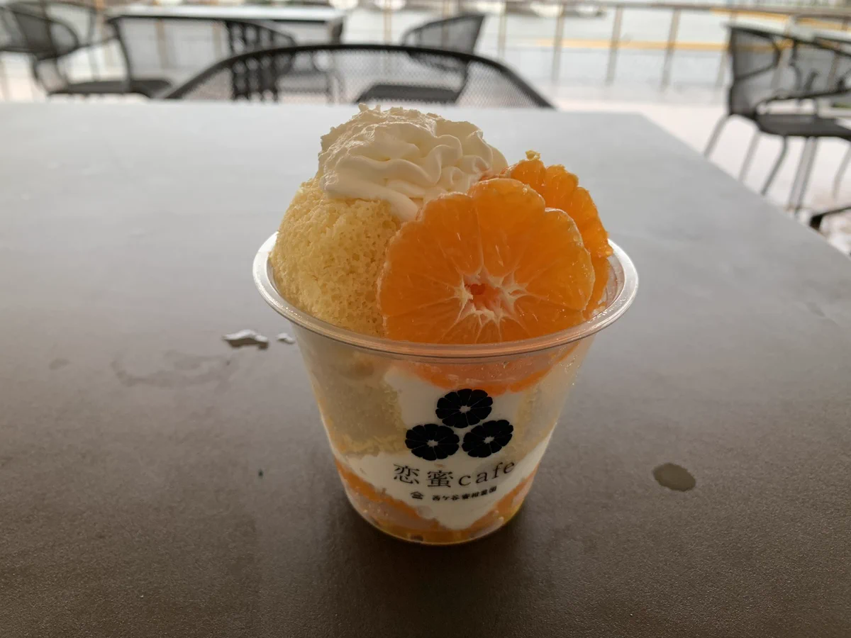 陽果里510🍵 静岡応援団 on X: 