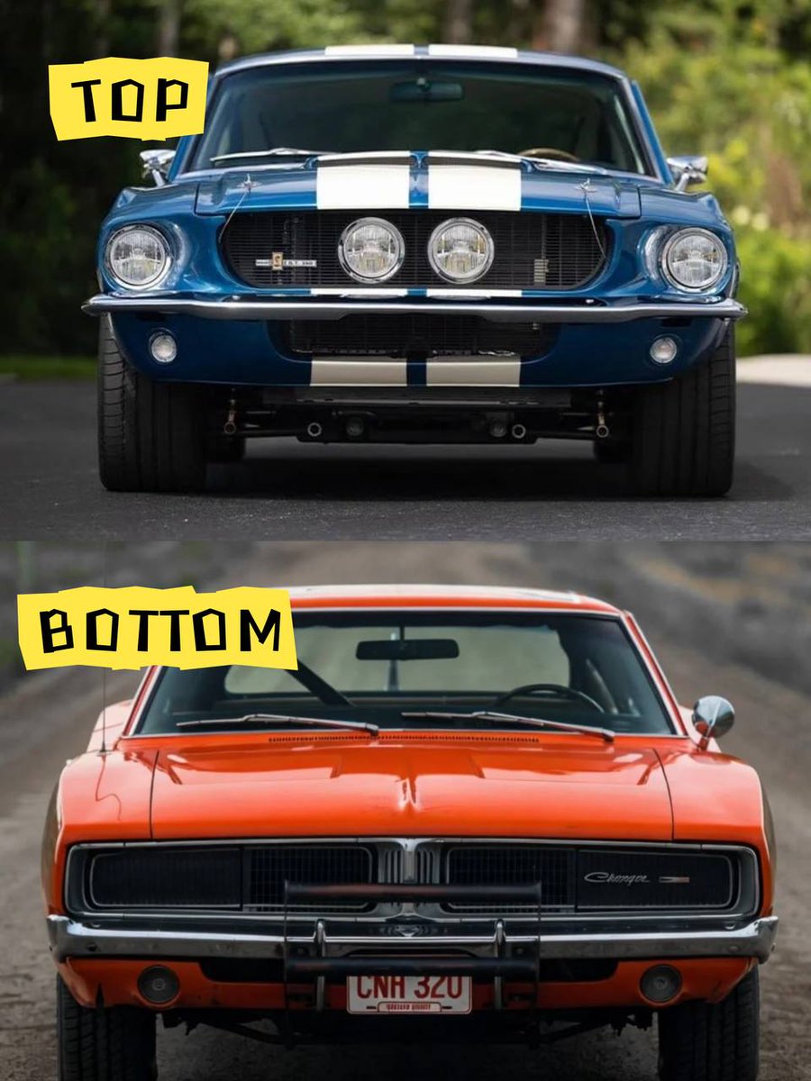 Grape212nnnn's tweet photo. Shelby or Charger which one are you driving home https://t.co/U0MwALAU4z