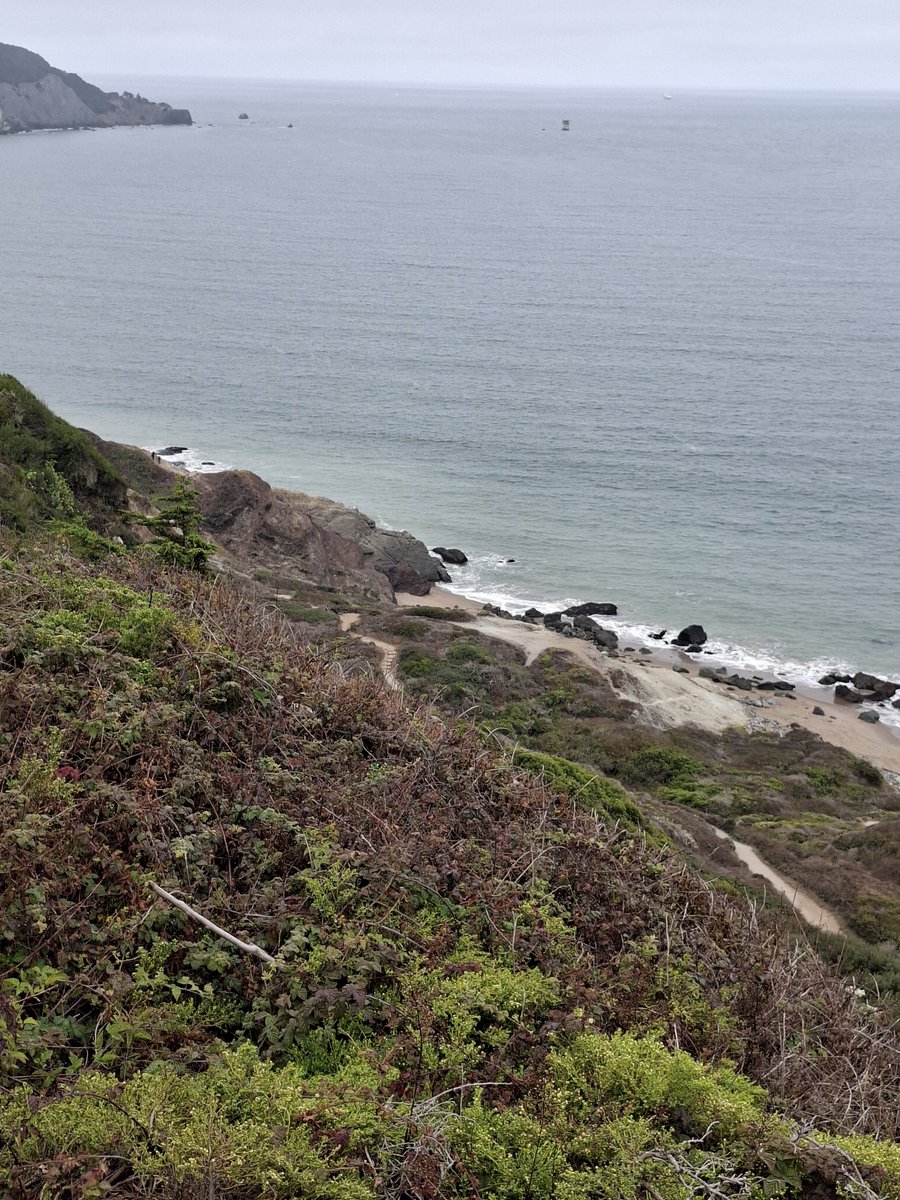 cristinamora66's tweet photo. Avui un dia super rúfol, amb vent i fred, però San Francisco ja ho té això. Tornant de Sausalito, un cop atravessat el Golden Gate, caminada pel trail (el nostre camí de ronda) fins a Baker Beach. Una altra perspectiva del magnific pont #goldengatebridge🌉 https://t.co/hVDRCHojZO