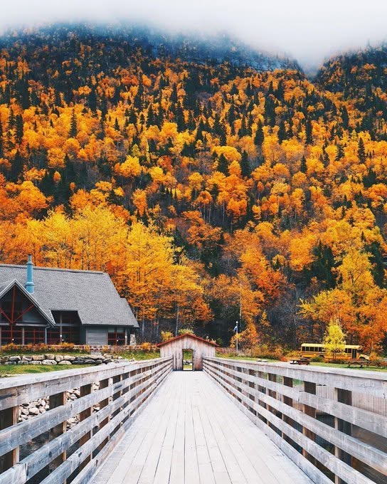 simontremblay81's tweet photo. Magnifique paysage au Parc national des Hautes-Gorges-de-la-Rivière-Malbaie... #Charlevoix #Automne #BeautéduQuébec
Crédit photo: melicot (Instagram)
Source: Bonjour Québec (Octobre 2020) https://t.co/4RujSvzHgl