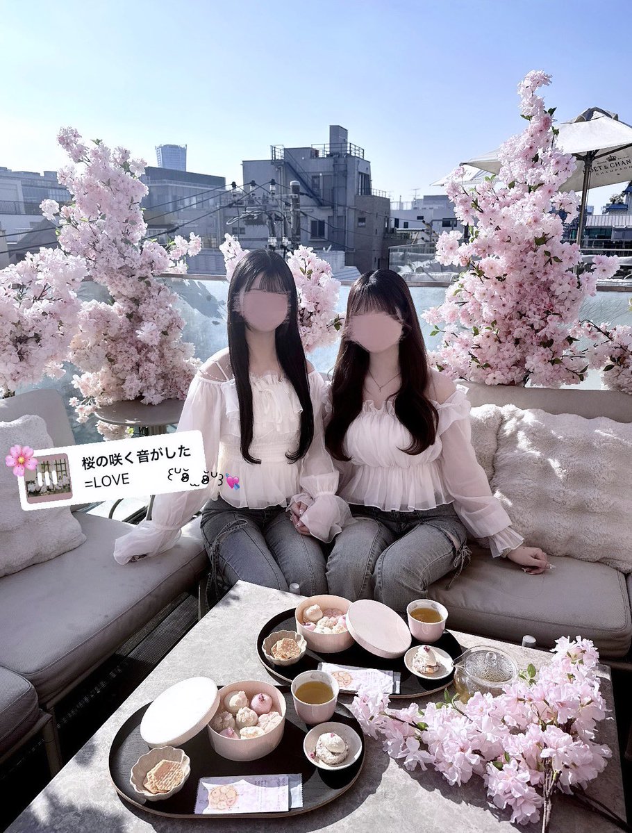 melorisy__s's tweet photo. 開いた桜には''恋''と名前を付けよう꒰՞ ܸ. .ܸ՞꒱♡ https://t.co/gs9viABA5n