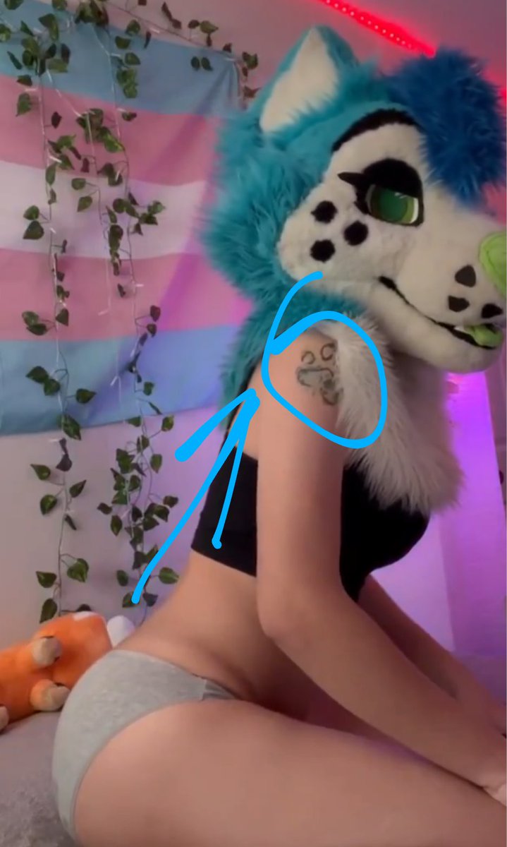 iubesafueslrqu's tweet photo. @FoxieFlareon @RancidWyrm @Fluffi_Plushie Spread the word. @PossumFarts Is actually @bluefolf . Report, block, and DNI. https://t.co/yRTTjHG6OR