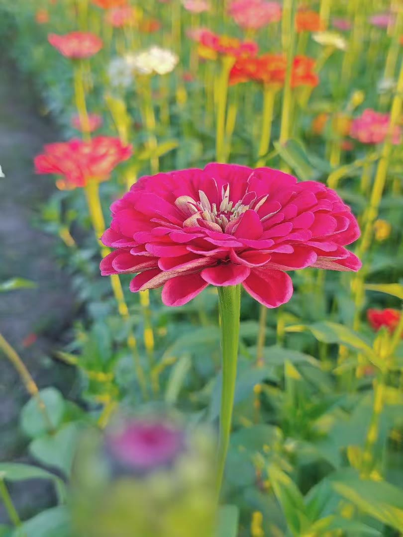 aislr063722's tweet photo. Sportsmanship is about learning from every game, win or lose.
兰州n城关e七里河r西固m安宁 #兰州  🥧🧁个人联系→@ytup55678 https://t.co/B0LzTeX3Pw