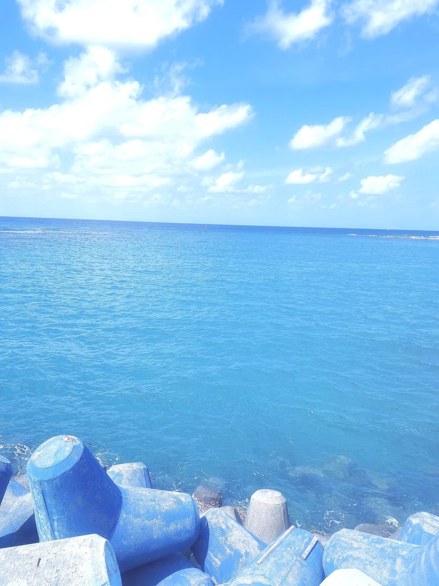 kanimiso0010's tweet photo. 🌊 https://t.co/2o0M9BfGCF