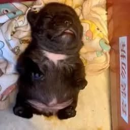 yoonscttk's tweet photo. agora o crime vai descansar good night https://t.co/7fmepPJVjp