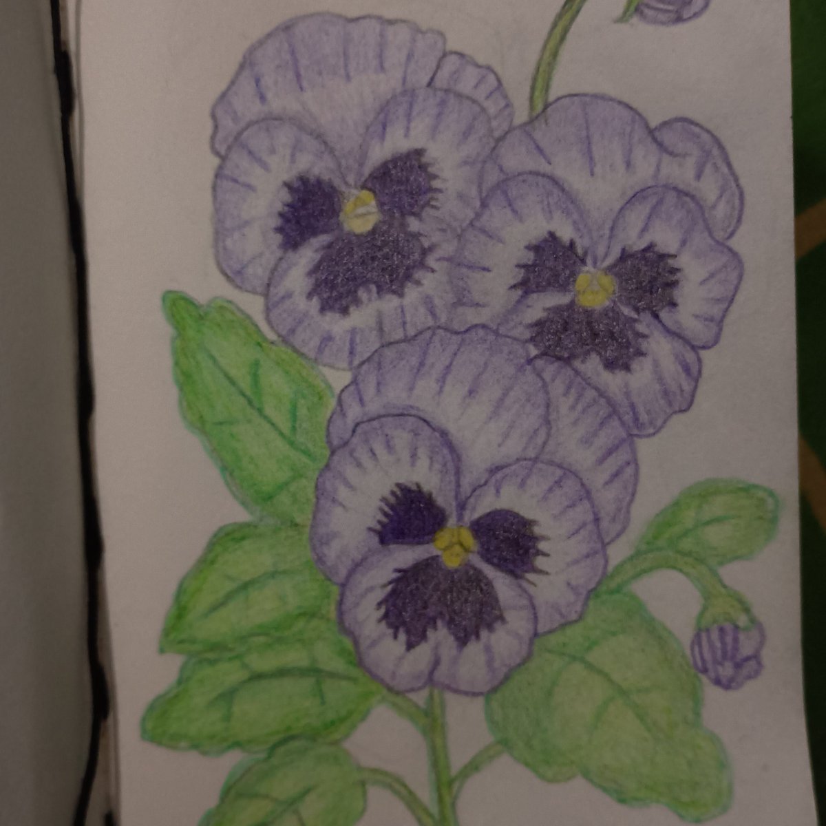haatelf's tweet photo. amo dibujar flores...
mmm... recuerdas el nombre? https://t.co/KBSMmc776t