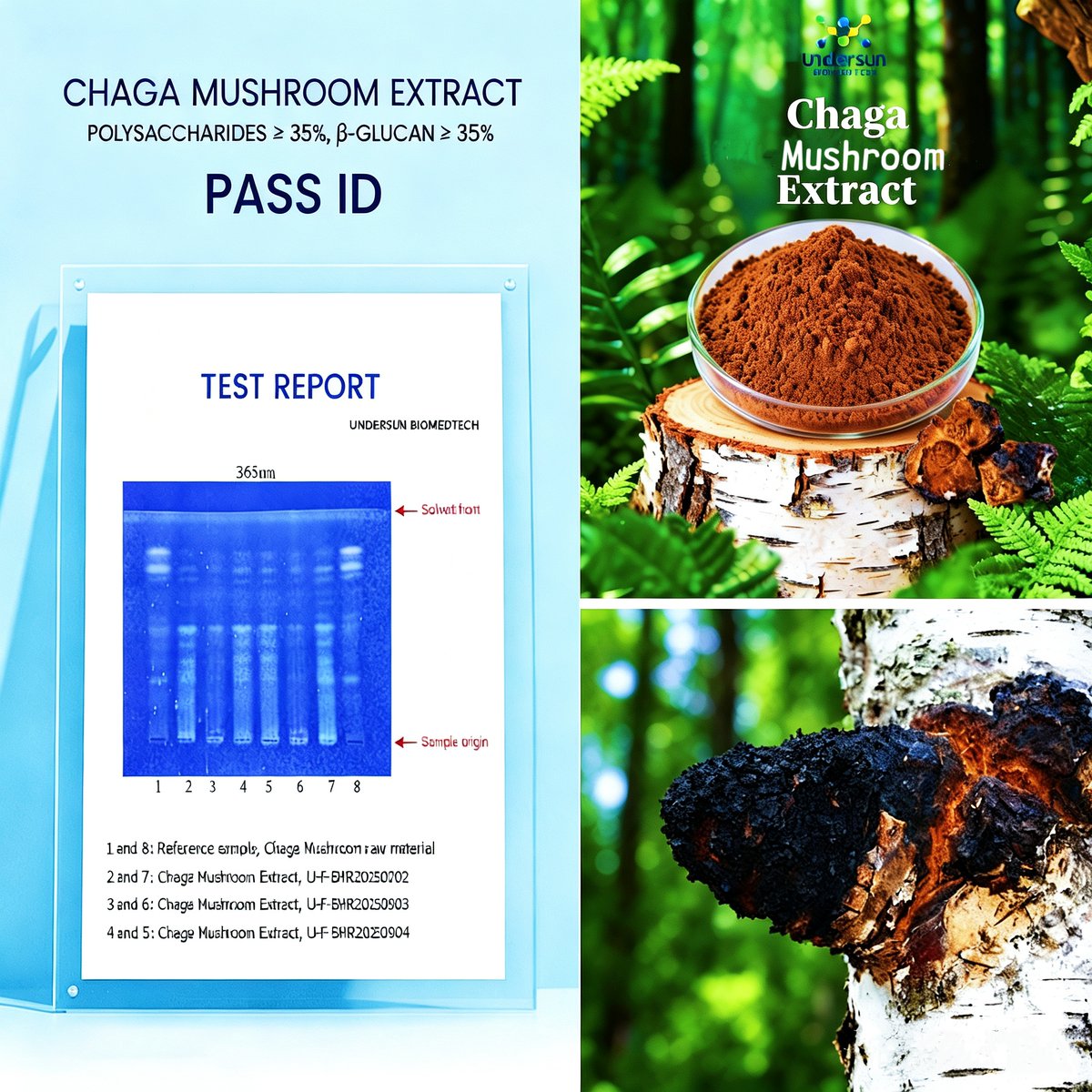 underherb150361's tweet photo. Not all Chaga extracts are created equal. Your formulation deserves better. π§ͺ
#ChagaExtract #StandardizedExtract #BetaGlucans #Polysaccharides #NutraceuticalIngredients #B2BWellness #SupplementManufacturing #FruitingBodyExtract #ContractManufacturing #CleanLabel https://t.co/dG8yuDr6ds