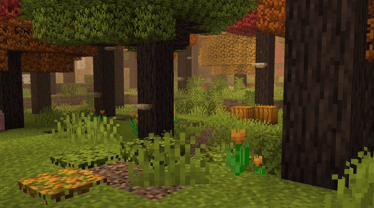 HyrxsMC's tweet photo. I remade my maple biome https://t.co/rrVaB92tG3