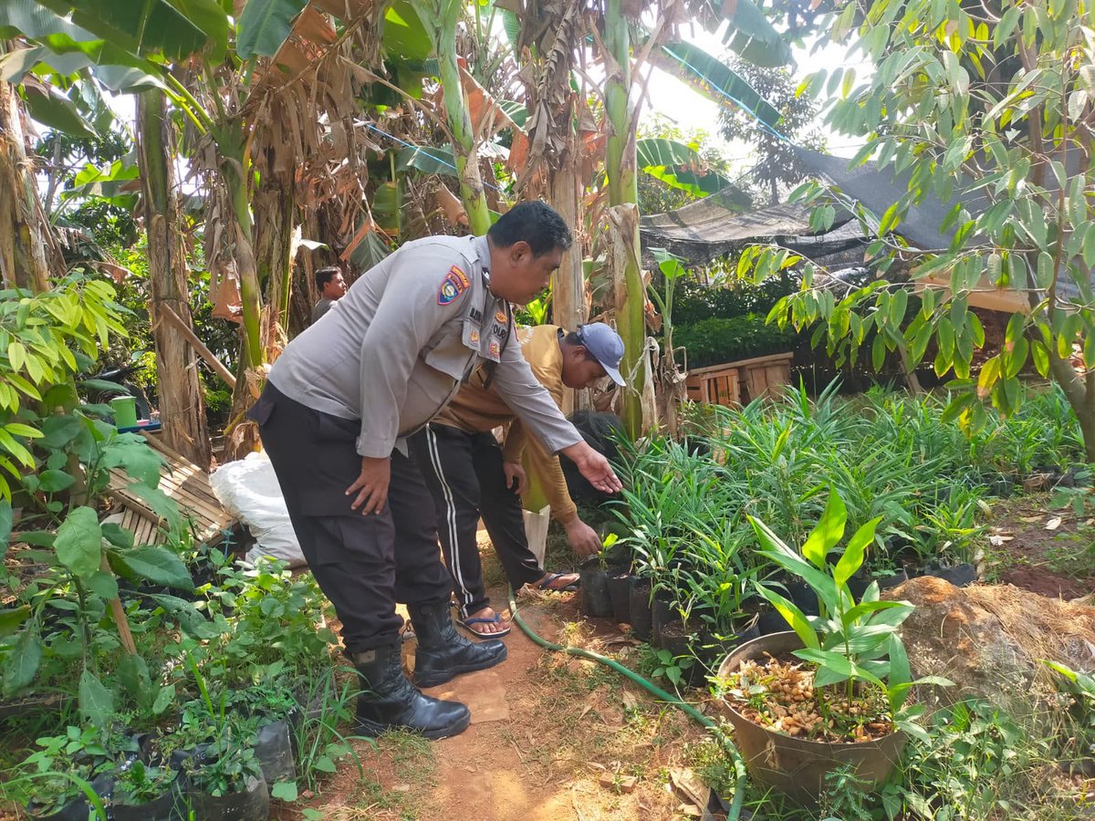 kp3gresik's tweet photo. Anggota Polsek Dukun melaksanakan pengecekan Tanaman kencur di Desa. Mentaras Kec. Dukun Kab.Gresik 

#astacita #swasembadapangan #polisicintapetani https://t.co/ug8WtqtVEc
