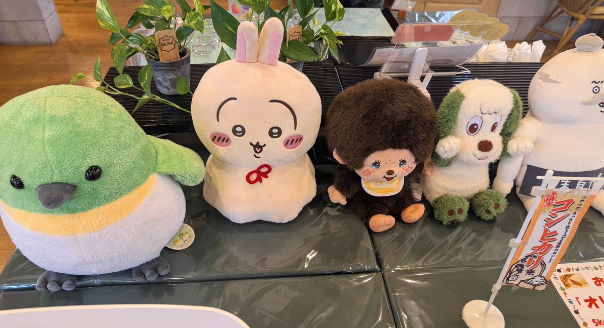 len_b15fvr's tweet photo. 毎日眠くて堪らねぇな、、
任務の合間も思考停止へ誘われる
これは低気圧のせいだけじゃない
まだ眠っている能力が
もうじき開花する合図
鮮明で不思議な世界と共に
現実の見方と生き方が反転する🙃
安心してひたすら眠っとけよ
善い夢を https://t.co/zriOV9RcIb