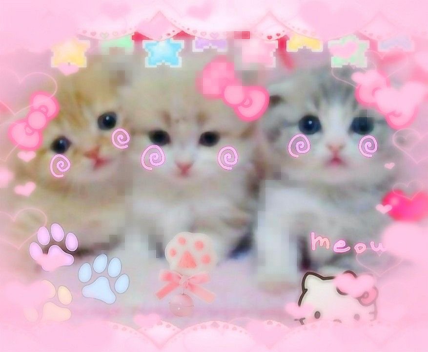 swugrbunnie's tweet photo. https://t.co/7w465ITAkU