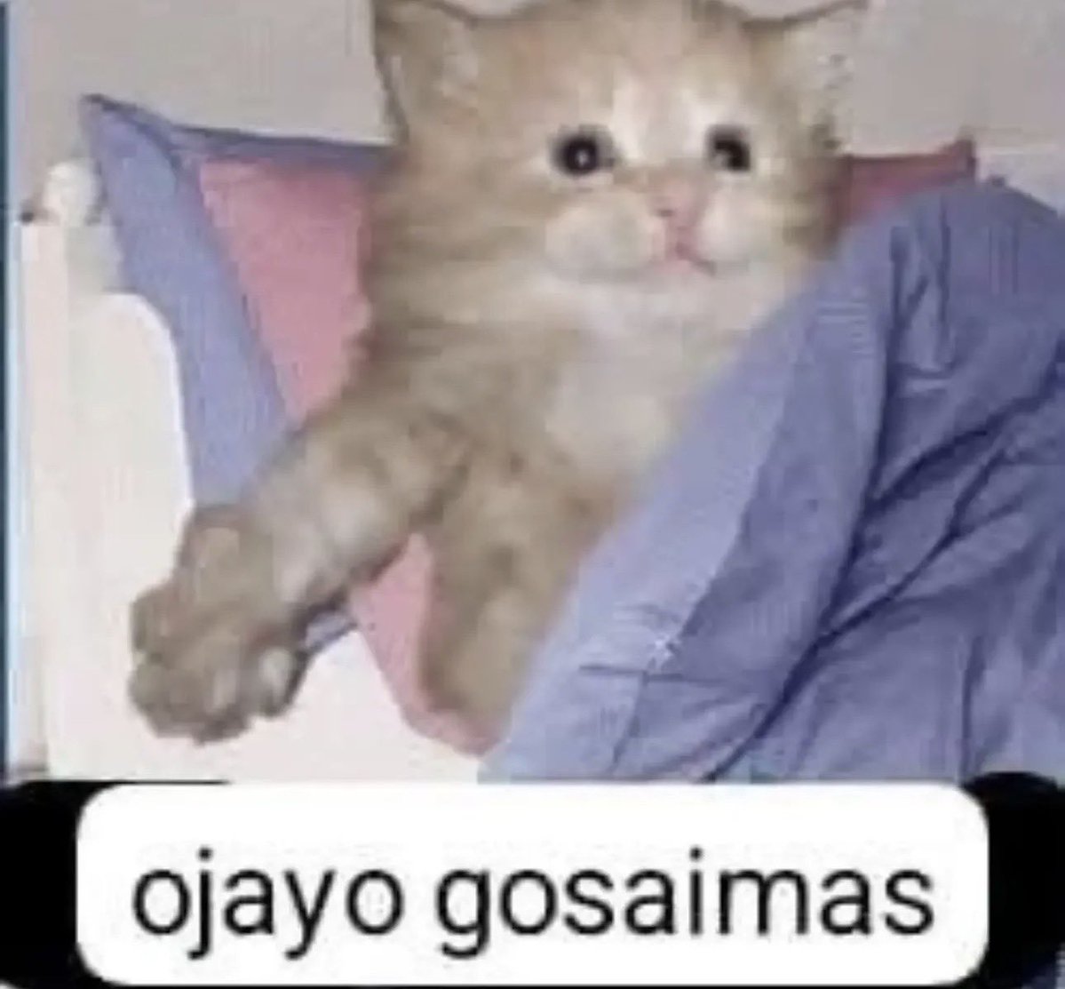 Joho163063's tweet photo. @incinobeastar Y que me dices de Dsimphony? https://t.co/BhGSTcCXHa