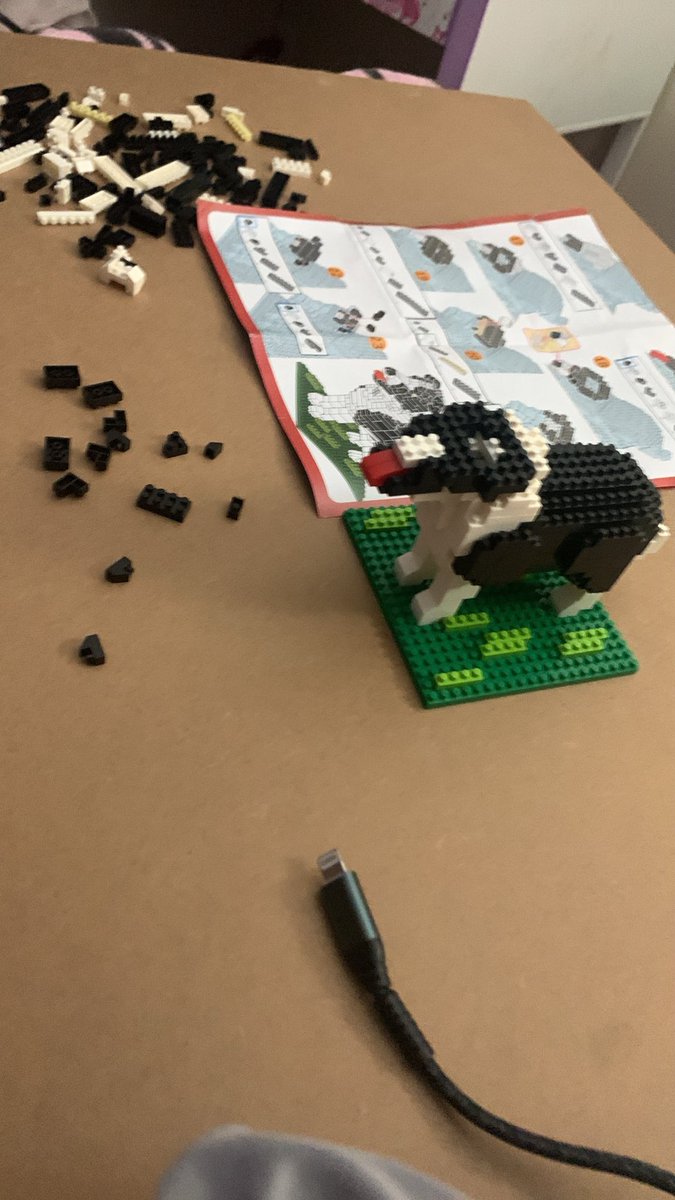 bayhrbrcalcount's tweet photo. Unemployed friendless activities is building a Lego set while high asf alone https://t.co/cDpYQ7UJlN
