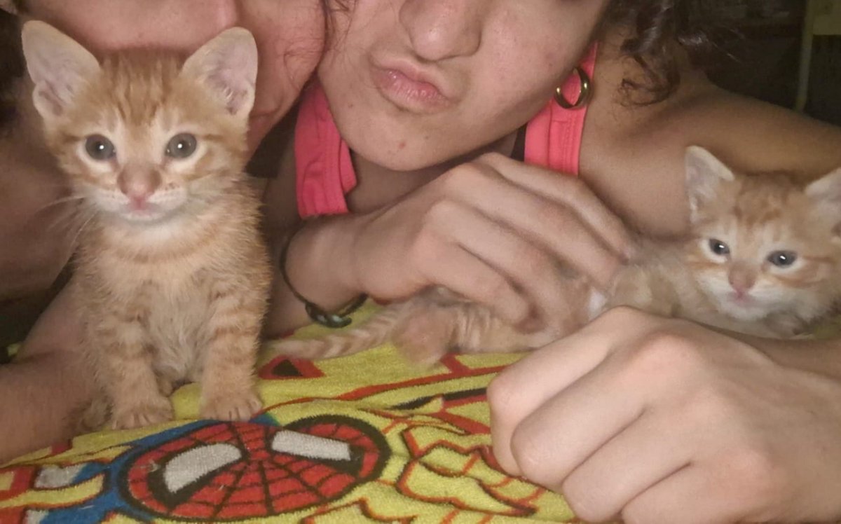 Lucilolews's tweet photo. Te amo tanto mi amor https://t.co/LCWTMYmdfv