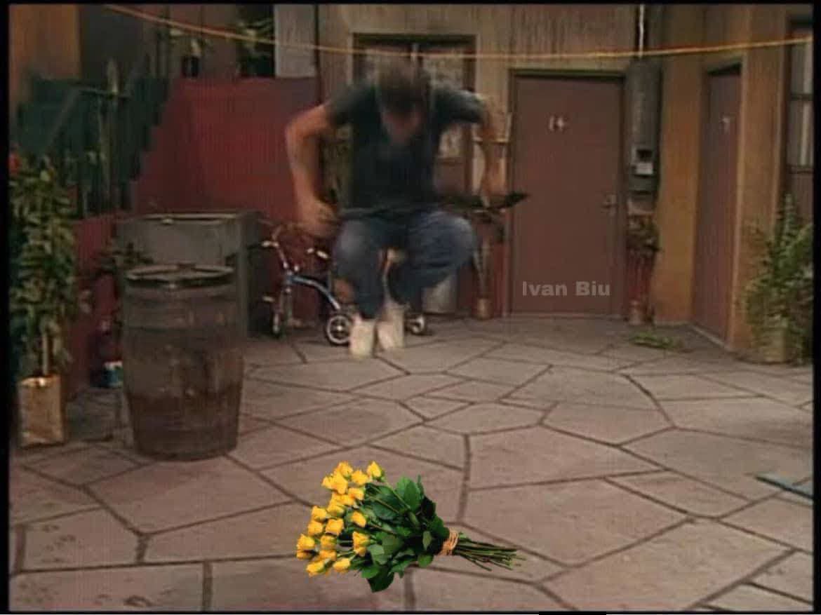 lnmarcsible's tweet photo. Mi reacción con la primer persona que vea que comparta sus flores amarillas mañana : https://t.co/19HoppBSch
