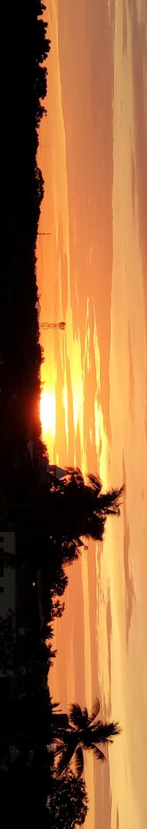 chystudies's tweet photo. sunsets 🌇 https://t.co/UDUYCOcdc6