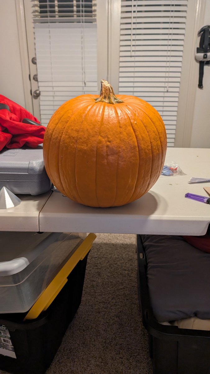 breedmancer's tweet photo. Woah... Pumkin https://t.co/s0huEokib5