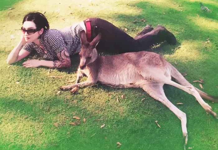 silentviewerl's tweet photo. Bunny and kangaroo form a beautiful friendship despite their differences ❤️ #healingmaterial https://t.co/jn5DKCrN9W