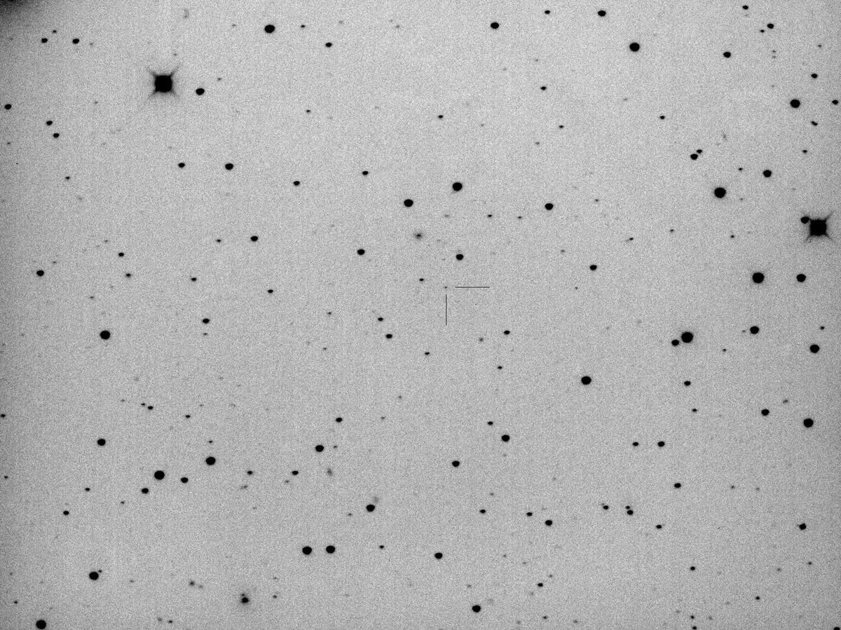 SN2013gv's tweet photo. 2P/Encke 

3年振り（？）にエンケ彗星を撮りました。m1=18.5等。

2026.09.17.64367UT, 10*60s, 40cm RC + F6.5 Focal Reducer, FLI ML8300, no cropping, Q14 https://t.co/P0VMGC96SM