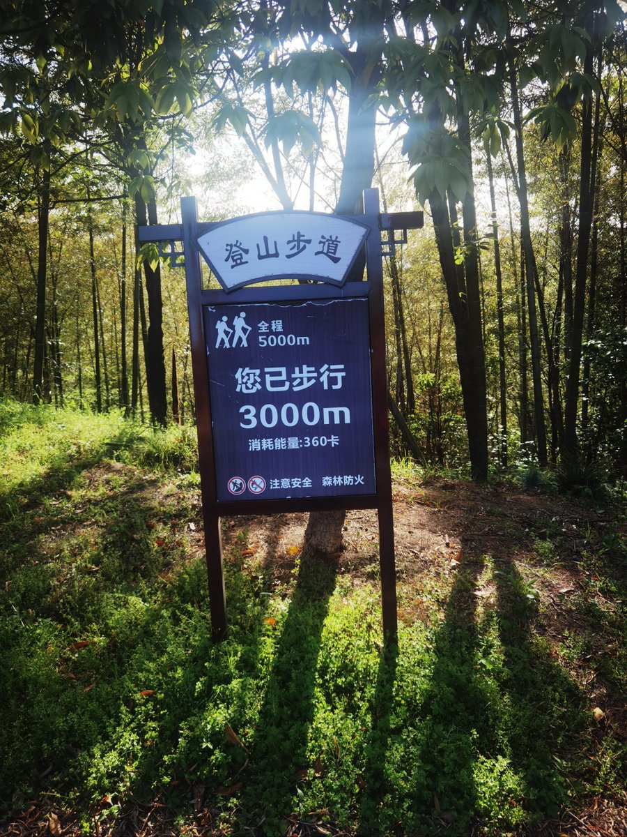 GenevaStegmann's tweet photo. Tried the new immersive 3D audio hiking trail today—every bird chirp and rustle felt right around me, no headphones needed! Game changer for weekend escapes. https://t.co/stgbddWKOi