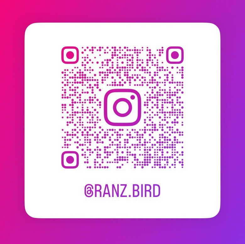 ranz425109's tweet photo. インコやウズラ等鳥用のアカウントです！ https://t.co/HrN3owqwvn