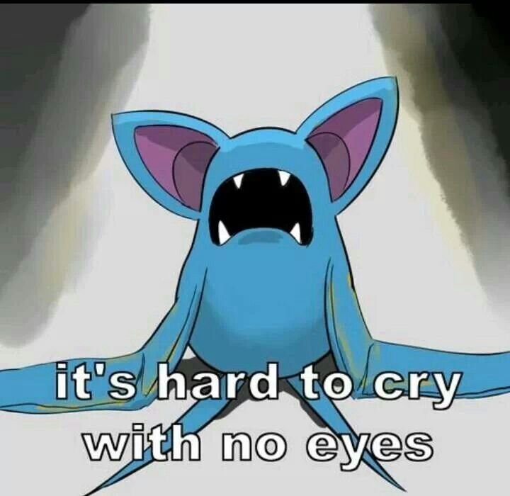 acervozubat's tweet photo. Vamos dormir que amanhã já é segunda outra vez, boa noite morcegos! 🦇 https://t.co/Ych5IrV2Zv