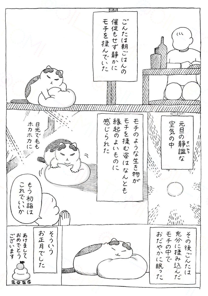 takara_o_takara's tweet photo. 猫エッセイの再掲です！
シルバーウィークのお供ににどうぞ

ごんたの家猫エピソード（その1） https://t.co/gLtK2OXS51