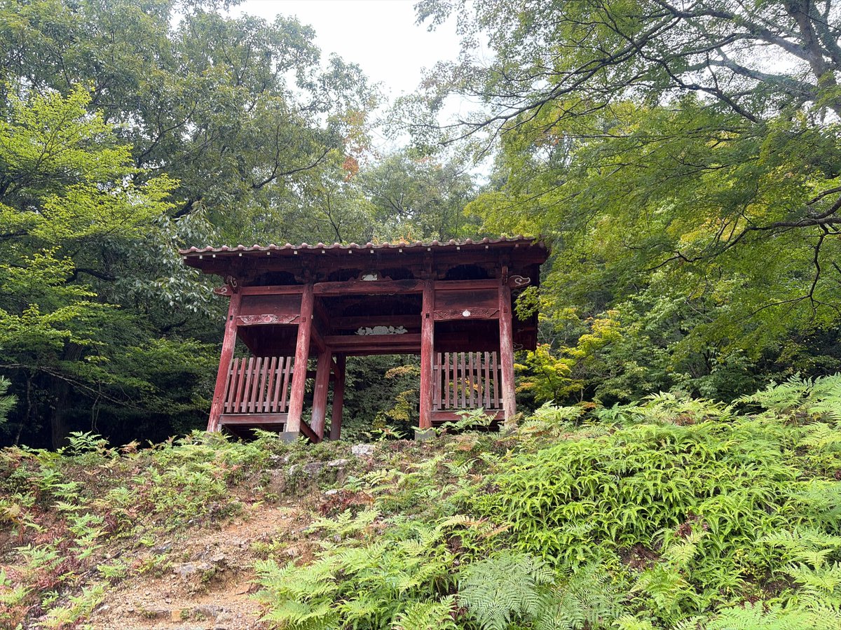 gftakec's tweet photo. 黒井城なう🏯 https://t.co/LTUF4a0jgI