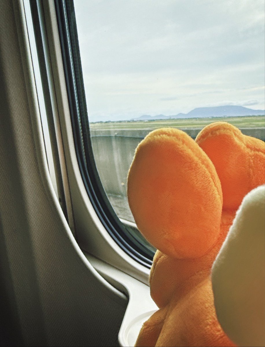 ten10_io's tweet photo. パモの日らしいのでうちのパモさん載せちゃお🧡来たばかりで全然写真ないからたくさん思い出作りたいな💭 https://t.co/DVdDeYgpgk