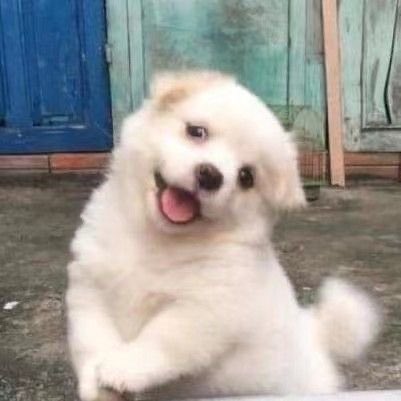 tarofile's tweet photo. 😭 https://t.co/GtP5z4aO39