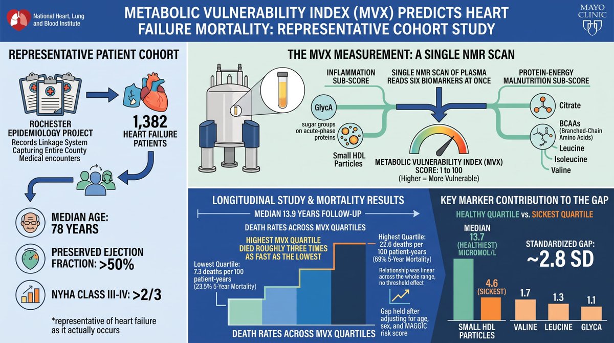 RapaNews's tweet photo. Metabolic Vulnerability Index (MVX) Can Spot Who Dies First, Thirty Years Ahead of Time https://t.co/7iCyTz22Nh https://t.co/F35Fkt0x2W