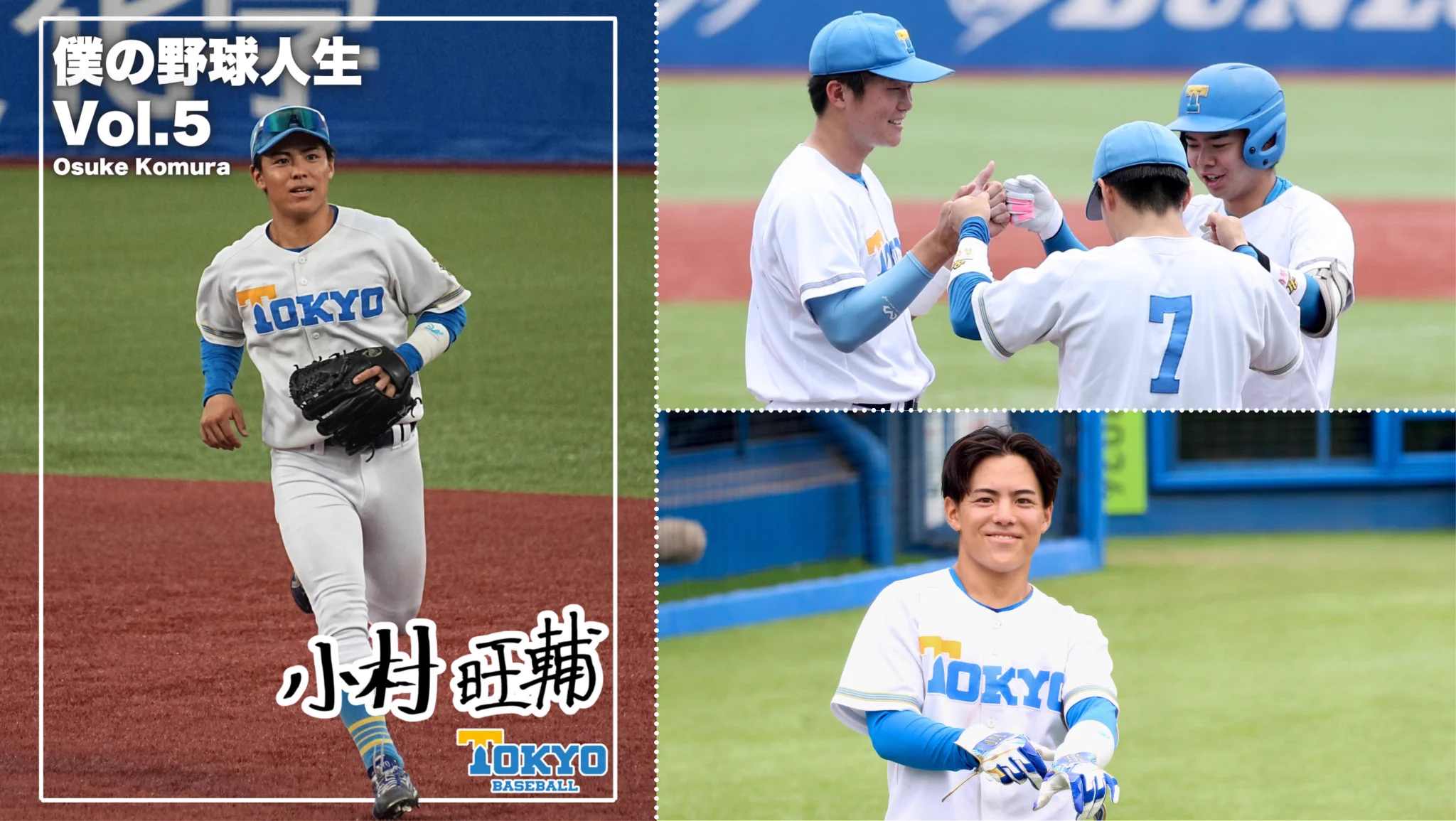東京 大学 野球 部